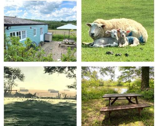 Cranbrook Ski Chalet | Park Farm Chalet