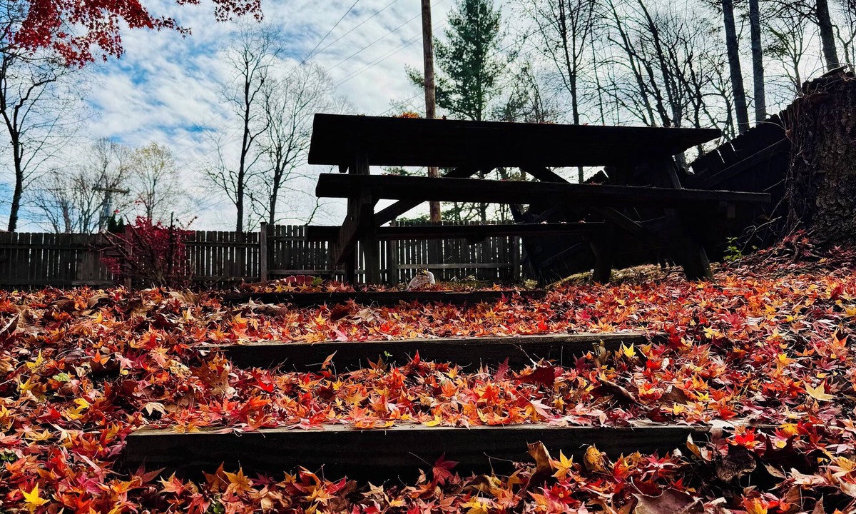 Linville Falls Cabin | Parkview Lodge & Cabins