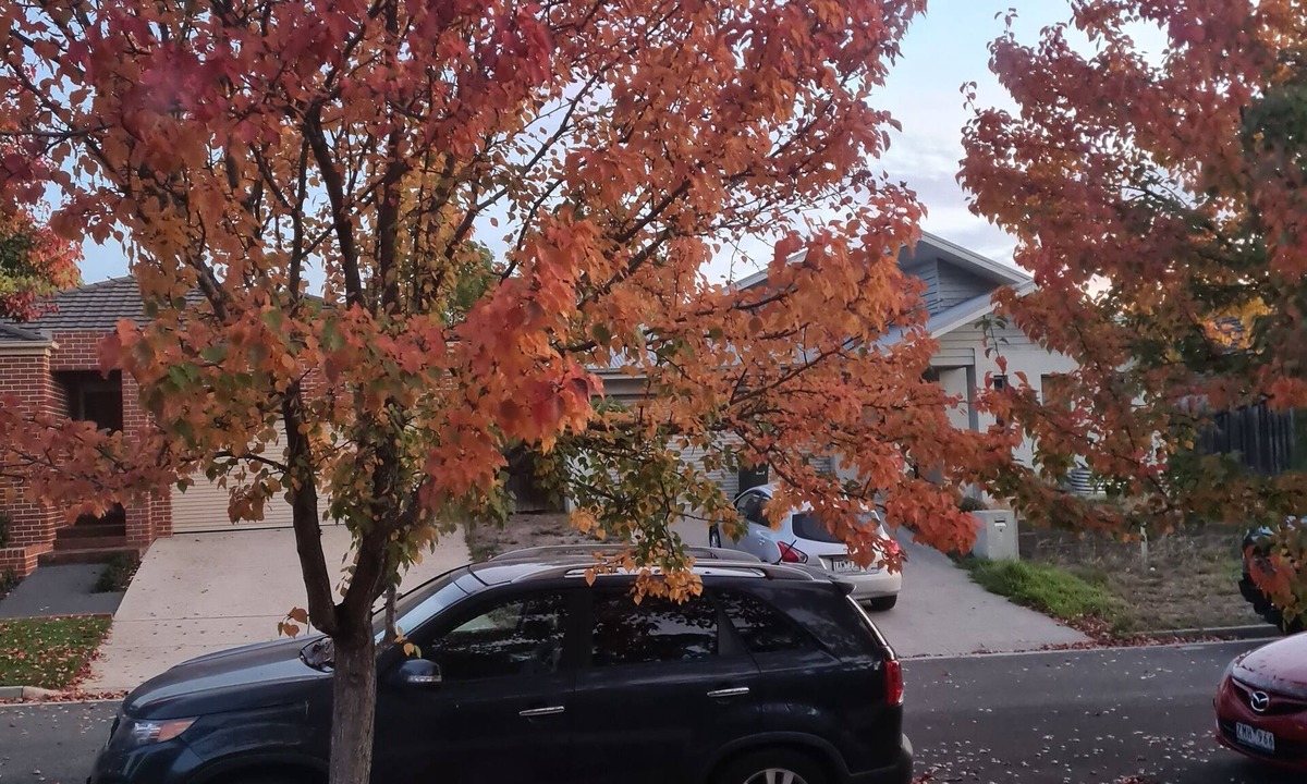 Ballarat East House | Parrot's on the creek .