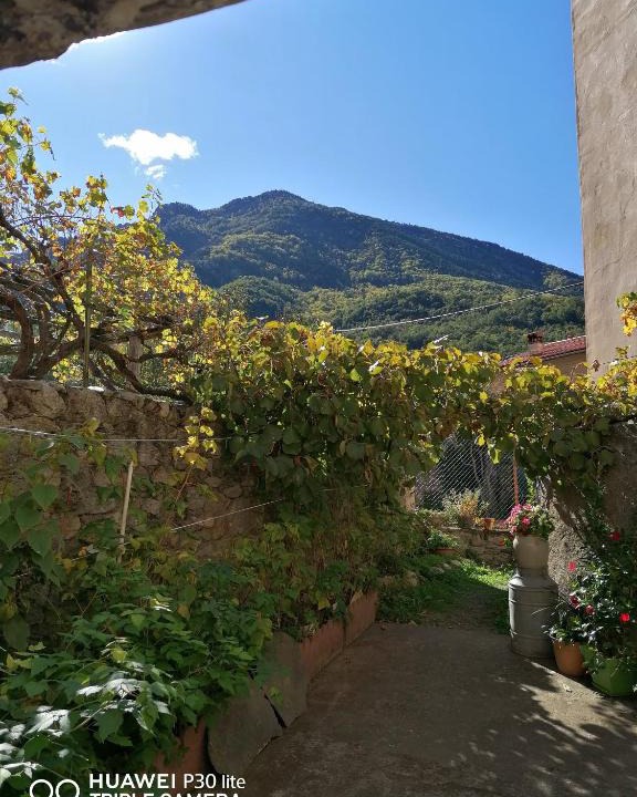 Sahorre Bed & Breakfast | Pati del sol