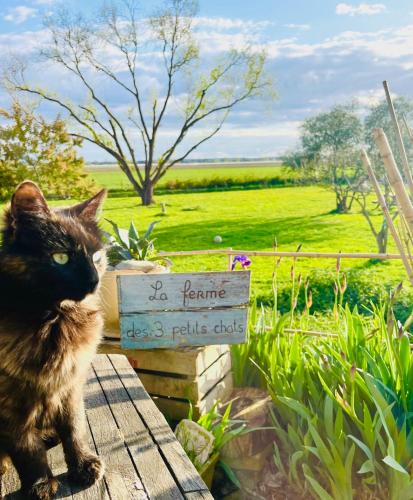 Saint-Nicolas-de-la-Grave House | Patte de velours