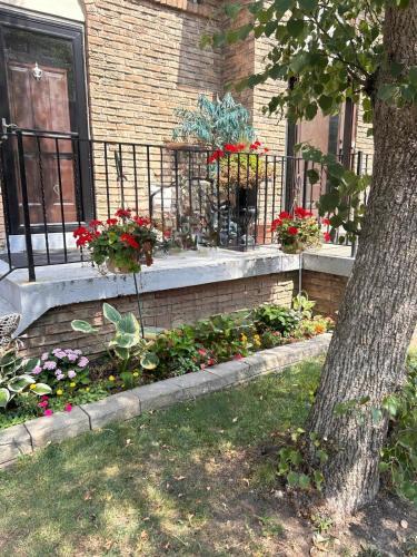 Thornhill Apartment | Pau-Rae's Cozy Spot - your home away from home!