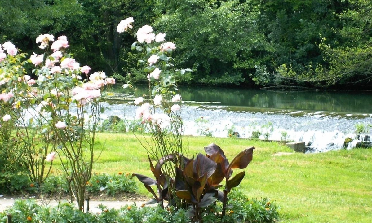 Barro House | Peace and quiet on a private island in a bucolic setting.