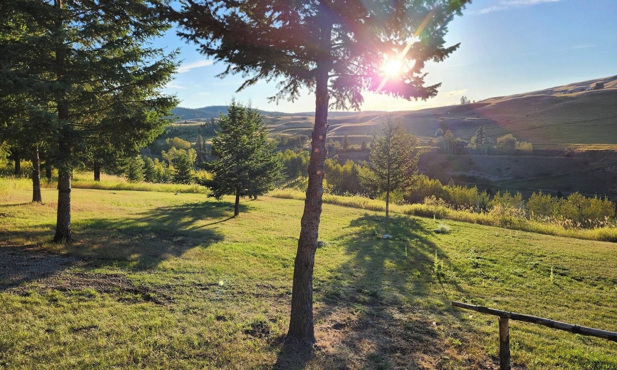 Oroville Cabin | Peace of Mind