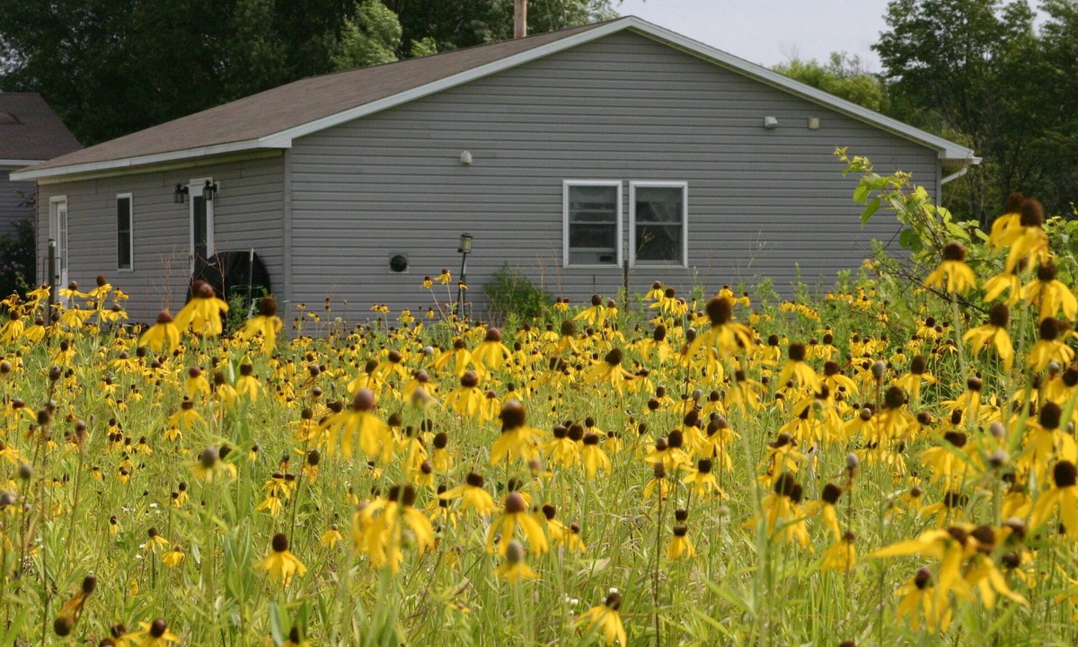 Murrayville Apartment | Peace on the Prairie — Quiet Nature Retreat on 24 Acres