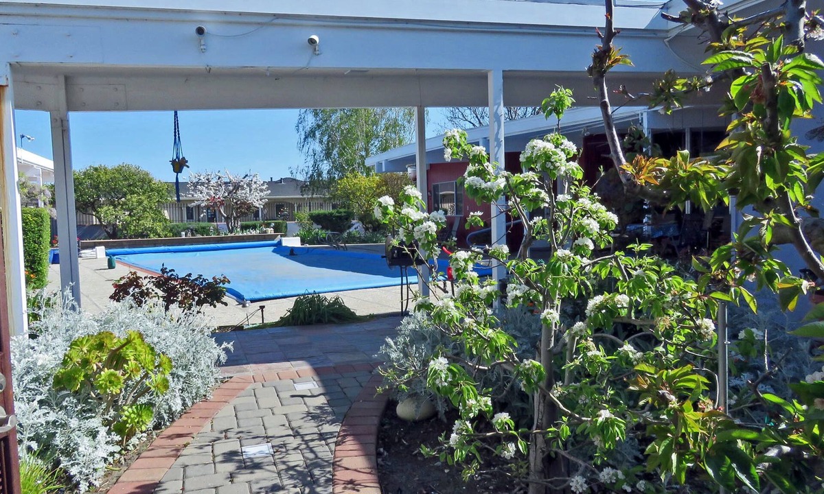 East Foothills Apartment | Peace & Quiet Above Silicon Valley