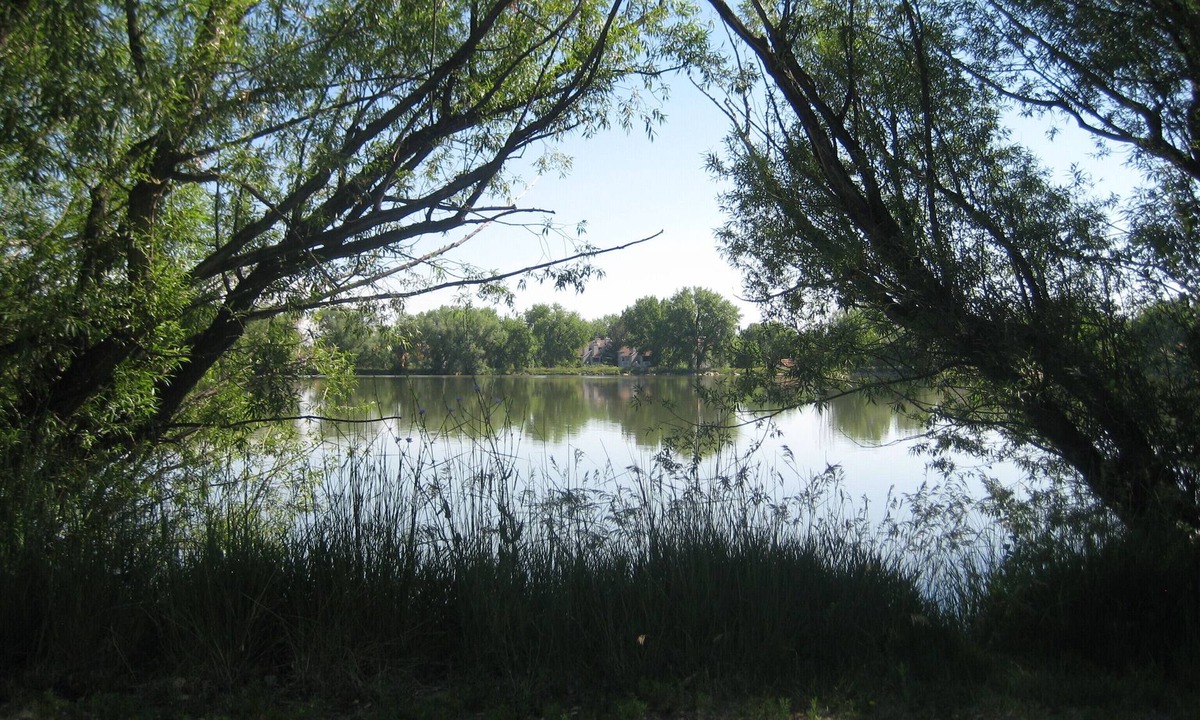 Gunbarrel House | Peaceful 2-BR house with AC close to nature in scenic Boulder