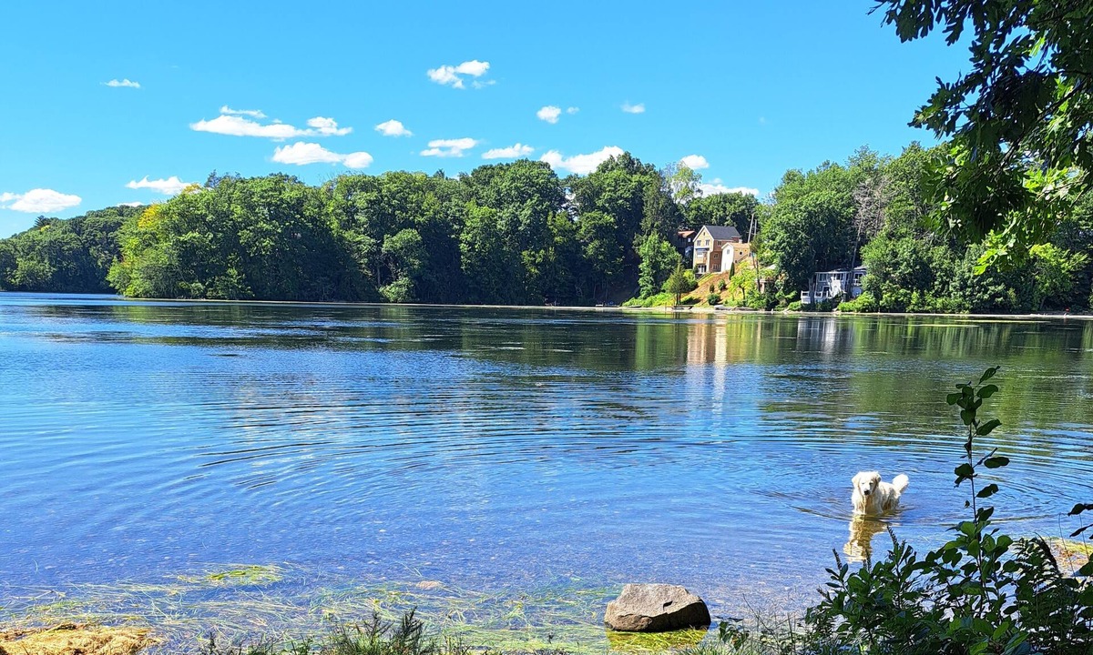 Wayland House | Peaceful and convenient area with tiny house experience