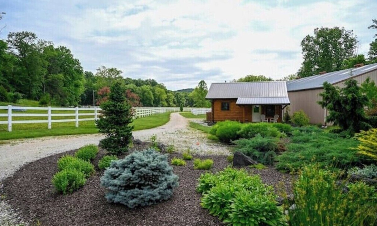 Pacific Cabin | Peaceful and cozy equestrian saturated retreat