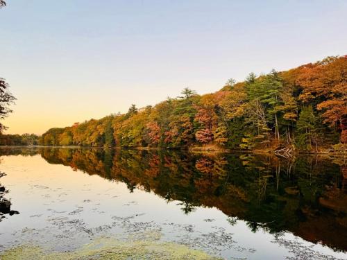 Saugerties South House | Peaceful Catskills Creek House
