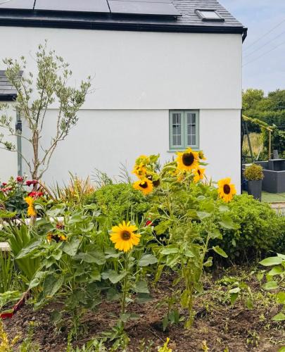 Spalding House | Peaceful countryside retreat