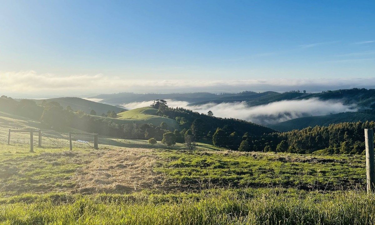 Madalya Other | Peaceful farmstay