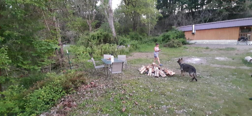Town of Burns Other | Peaceful Farmstead Cabin on Private Pond