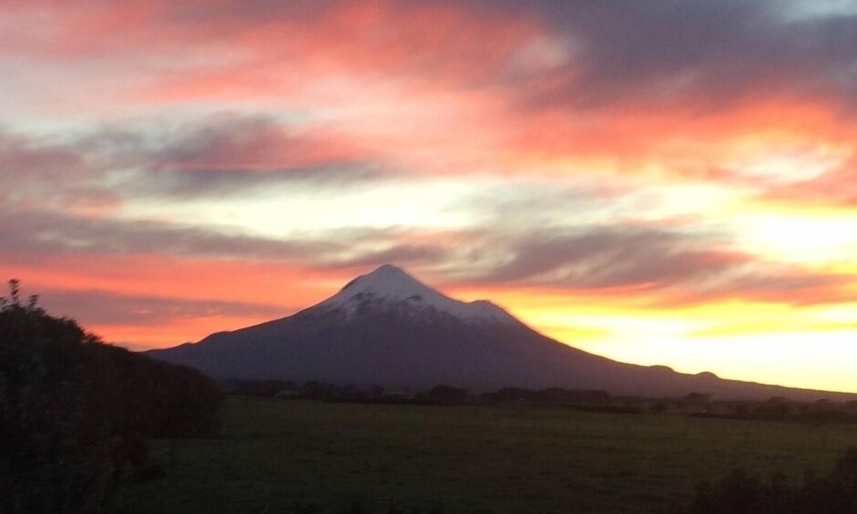 Auroa House | Peaceful garden setting