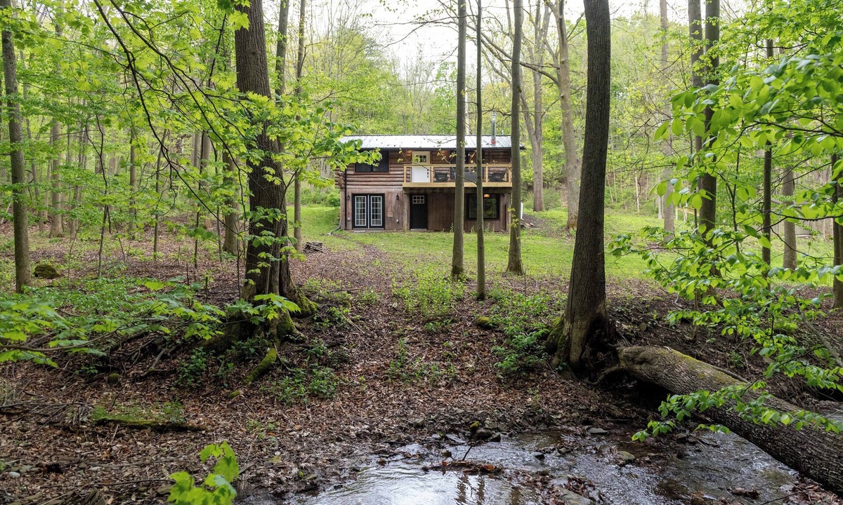 Naples Cabin | Peaceful Naples Cabin w/Deck & Stream Views