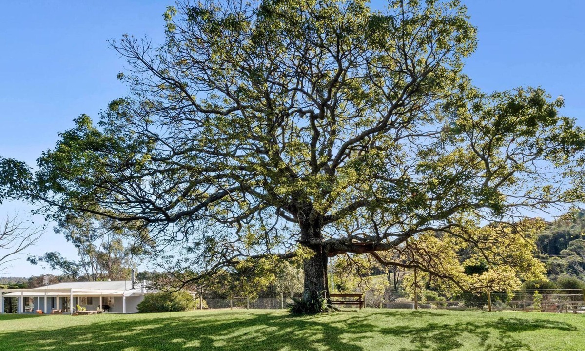 Malua Bay House | Peaceful pet friendly home on acres