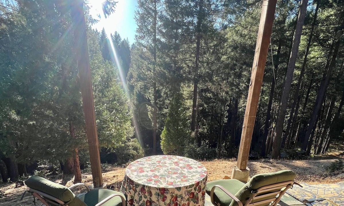 Cedar Ridge Apartment | Peaceful Pines in Secluded Hideaway