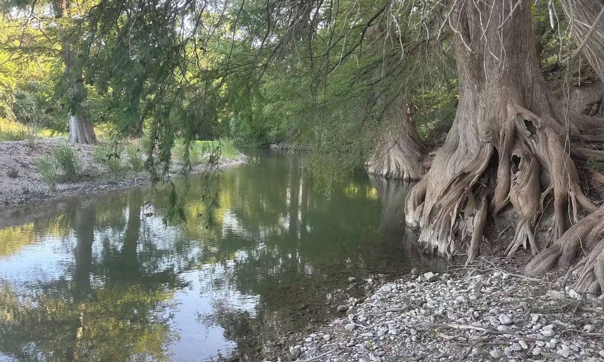 Boerne House | Peaceful & Private Riverfront Modern 3/3 on a 1.7 Acre Nature Dog Friendly
