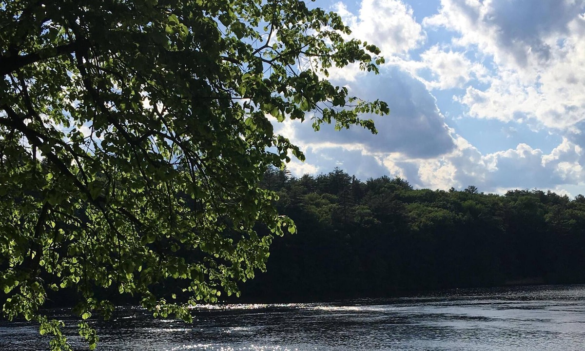Lake Luzerne-Hadley Cabin | Peaceful Retreat in the Adirondacks