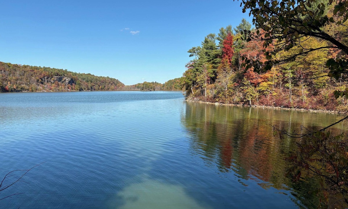 Oxbow Cottage | Peaceful Remodeled Lake Cottage - New 2026 Listing