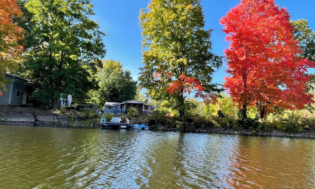 Tweed Cottage | Peaceful riverside cottage-Tranquil views & private outdoor space
