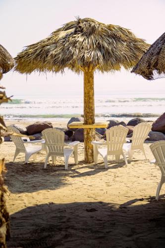 Anton Lizardo Hotel | Pelicanos