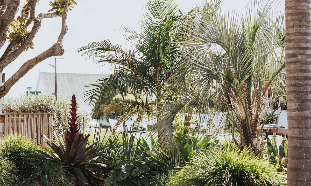 Whitianga Hotel | Peninsula Motel