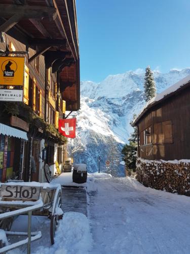 Gimmelwald House | Pension Gimmelwald