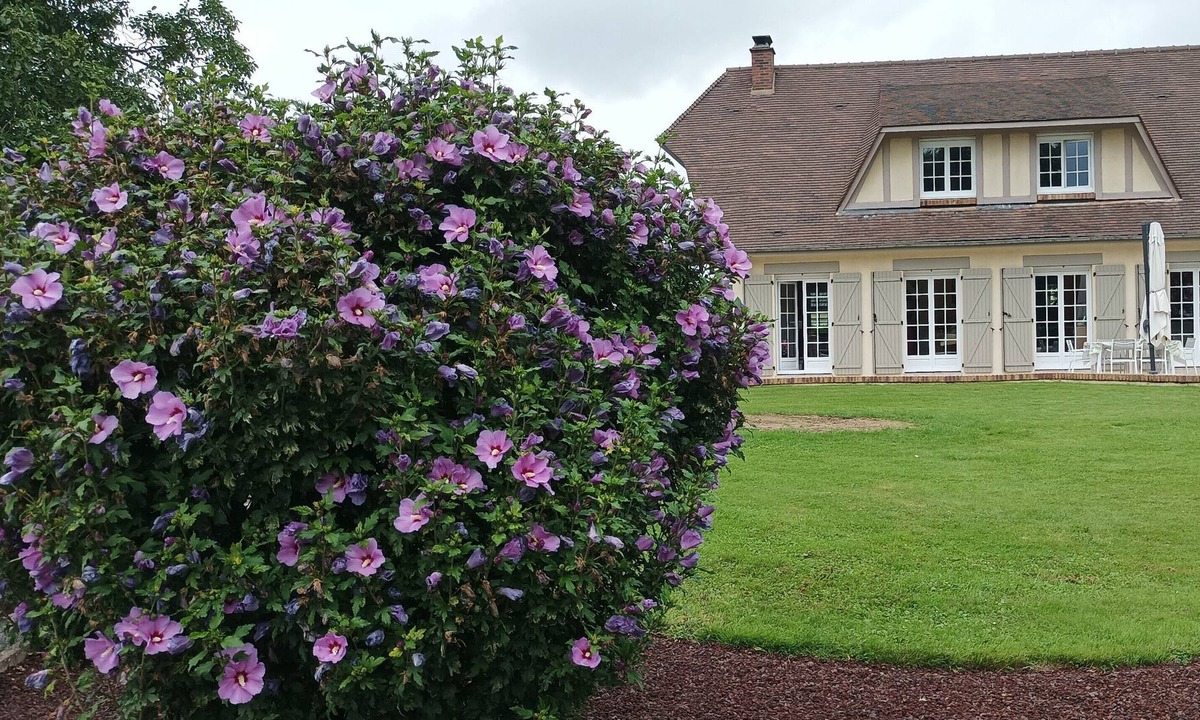 Malaunay Bed & Breakfast | PEONY ROOM