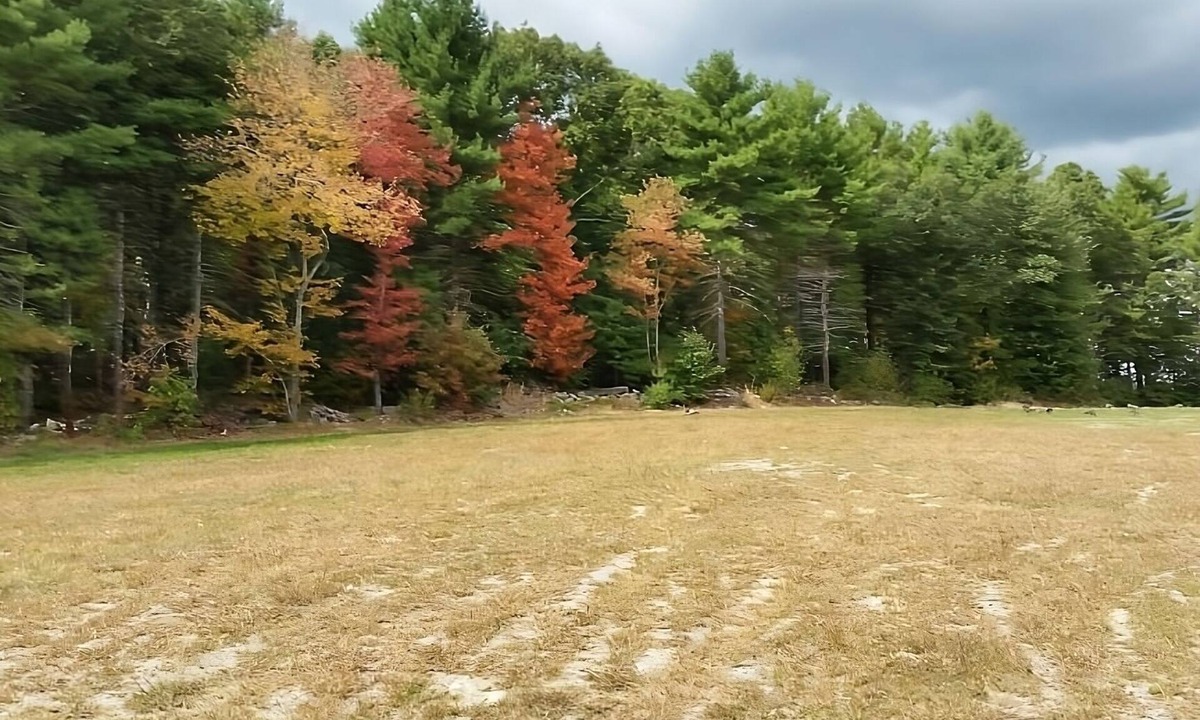 Foxboro Hotel | Perfect for a Quick Escape! 2 Spacious Units w/FREE Breakfast and Parking!