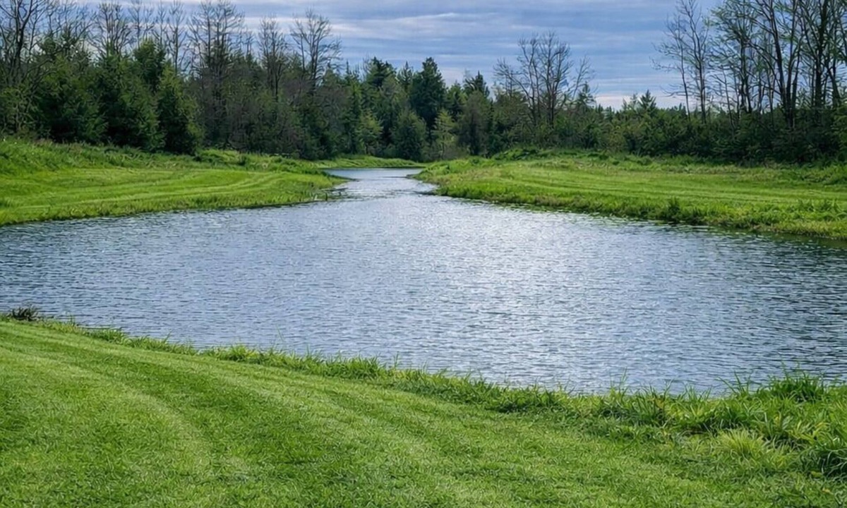 Tweed RV Rental | Perfect outdoor setting for camping, events, and waterfront enjoyment.