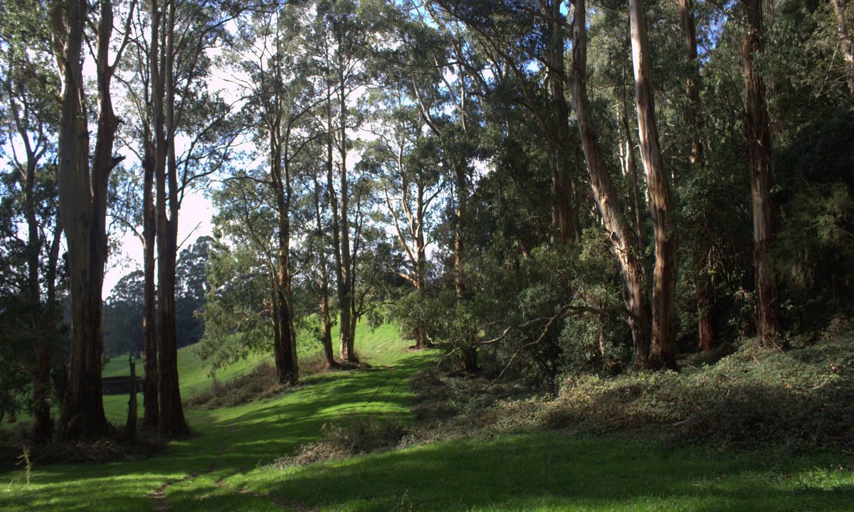 Carlisle River House | Perfect Tiny House in Nature