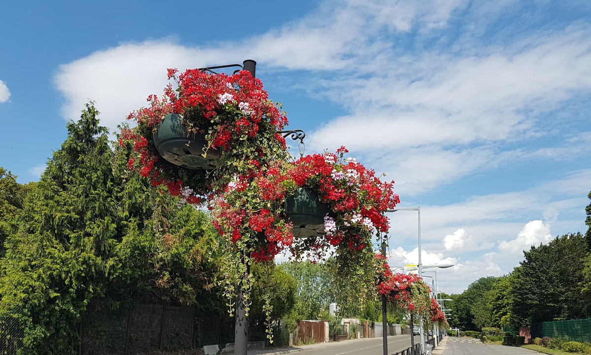 Persan Apartment | Persian Beaumont - Oise