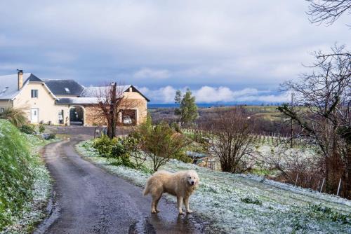 Monein Bed & Breakfast | Pesaulhé