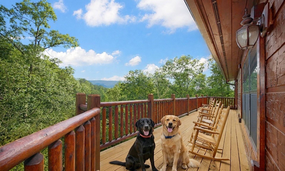 Gatlinburg Cabin | Pet-Friendly 5BR w/Game Room + Amazing Mountain Views