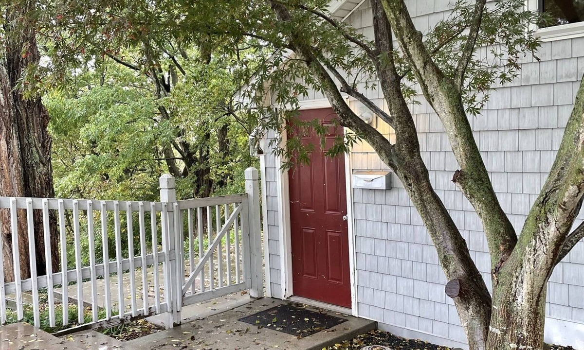 Coopersville Cottage | Pet Friendly and peaceful setting!