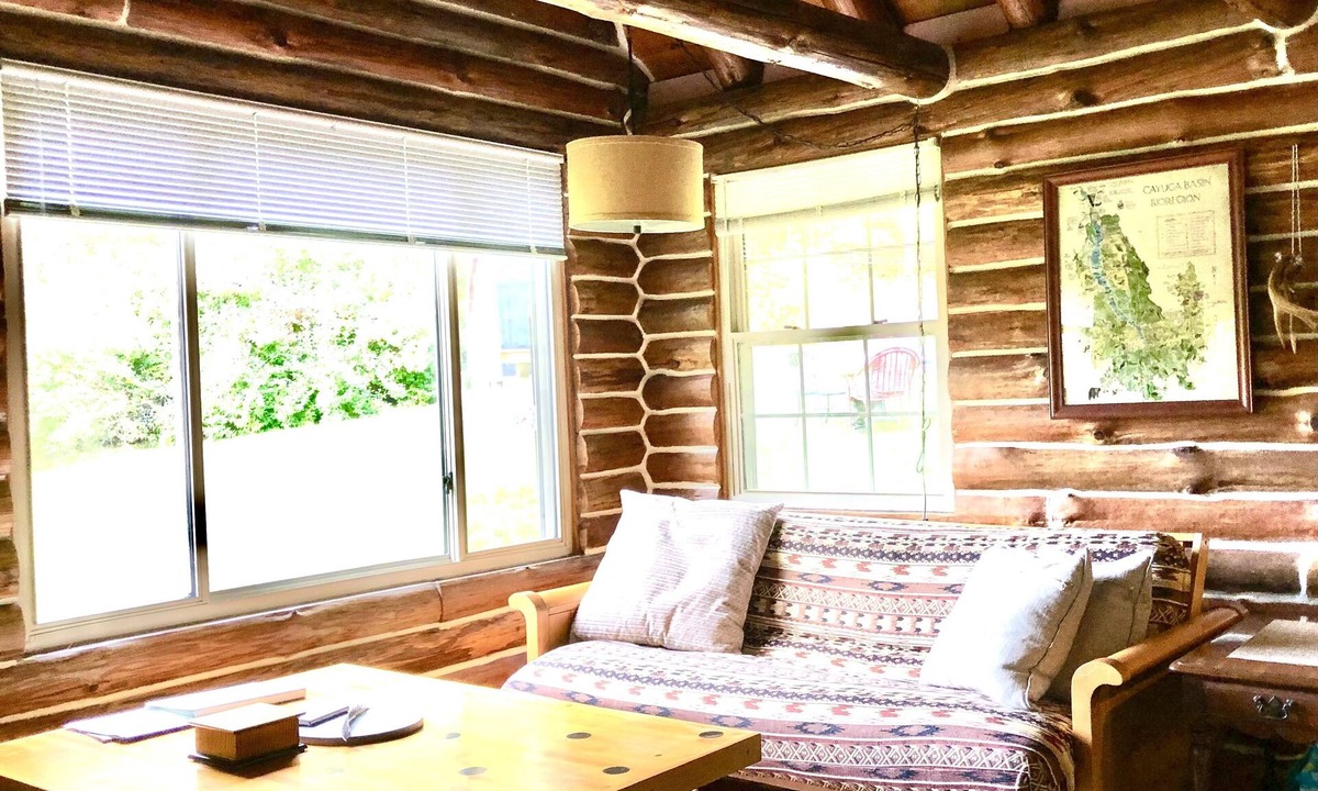 Willseyville Cabin | Pet-friendly Cabin with Authentic Sauna Situated Next To Private Spring-fed Pond