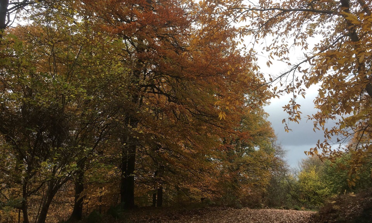 Chepstow House | Pet friendly cosy barn with stunning views
