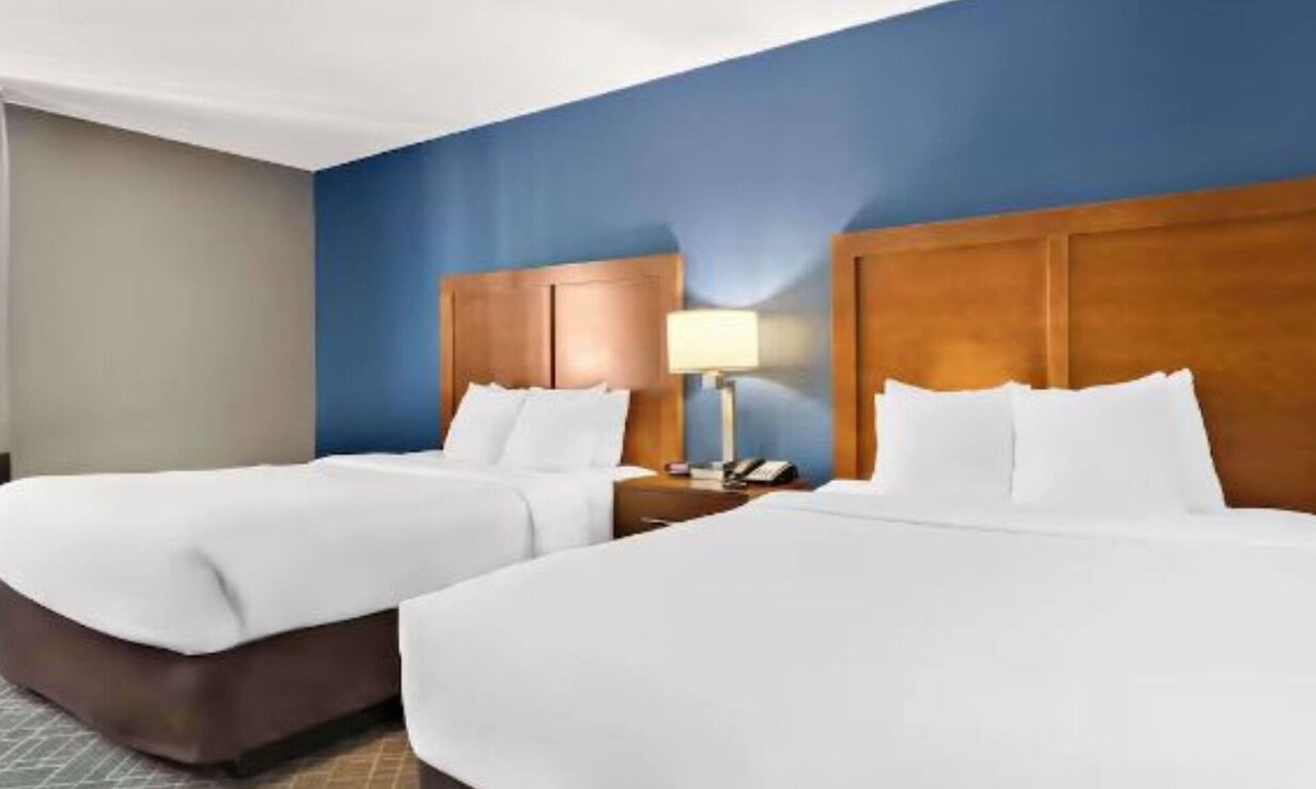 Joliet Hotel | Pet-Friendly Hotel Stay Near Route 66 Raceway & Chicagoland Speedway
