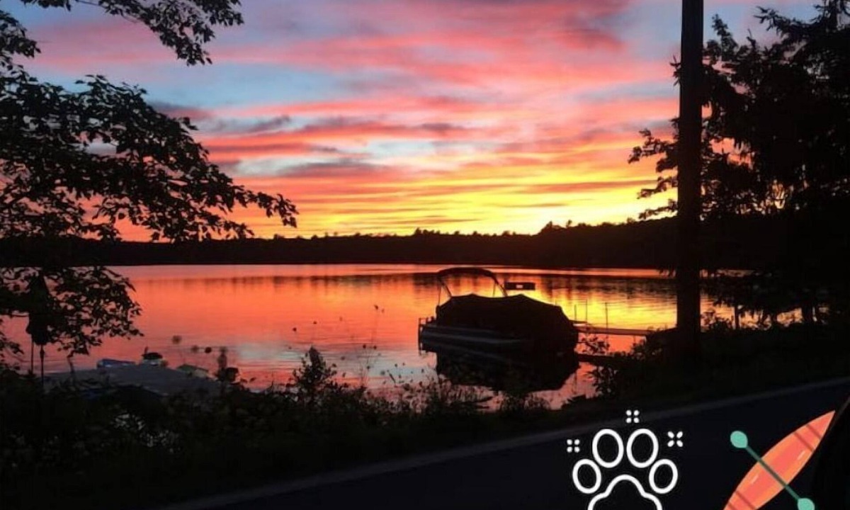 Tafton Cabin | Pet Friendly Lakefront Cabinn