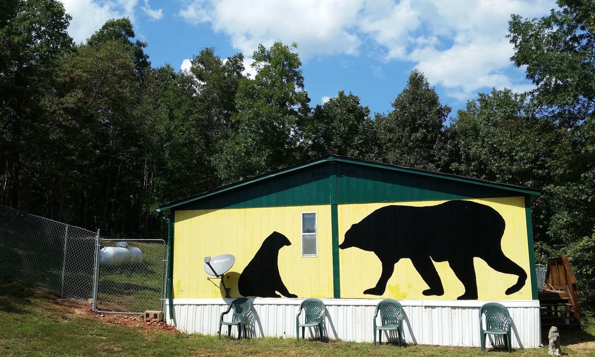 Yellville Cottage | PET FRIENDLY REASONABLY PRICED MOUNTAINTOP COTTAGE