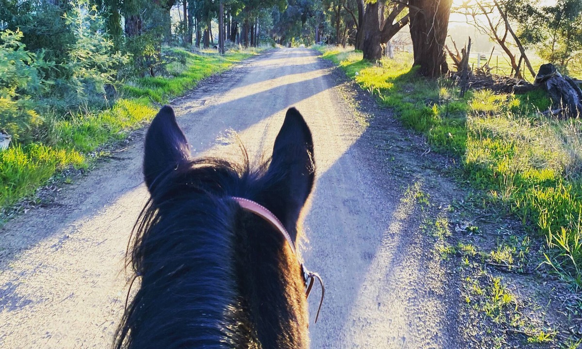 Lima East House | Pet Friendly Retreat Mansfield Area