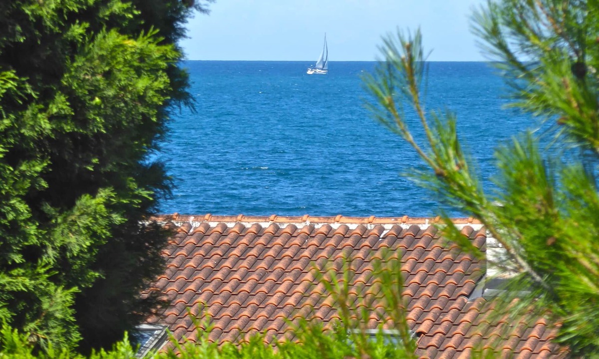 Dajla House | Pet-friendly vacation home right by the sea - last minute promotion 15% discount