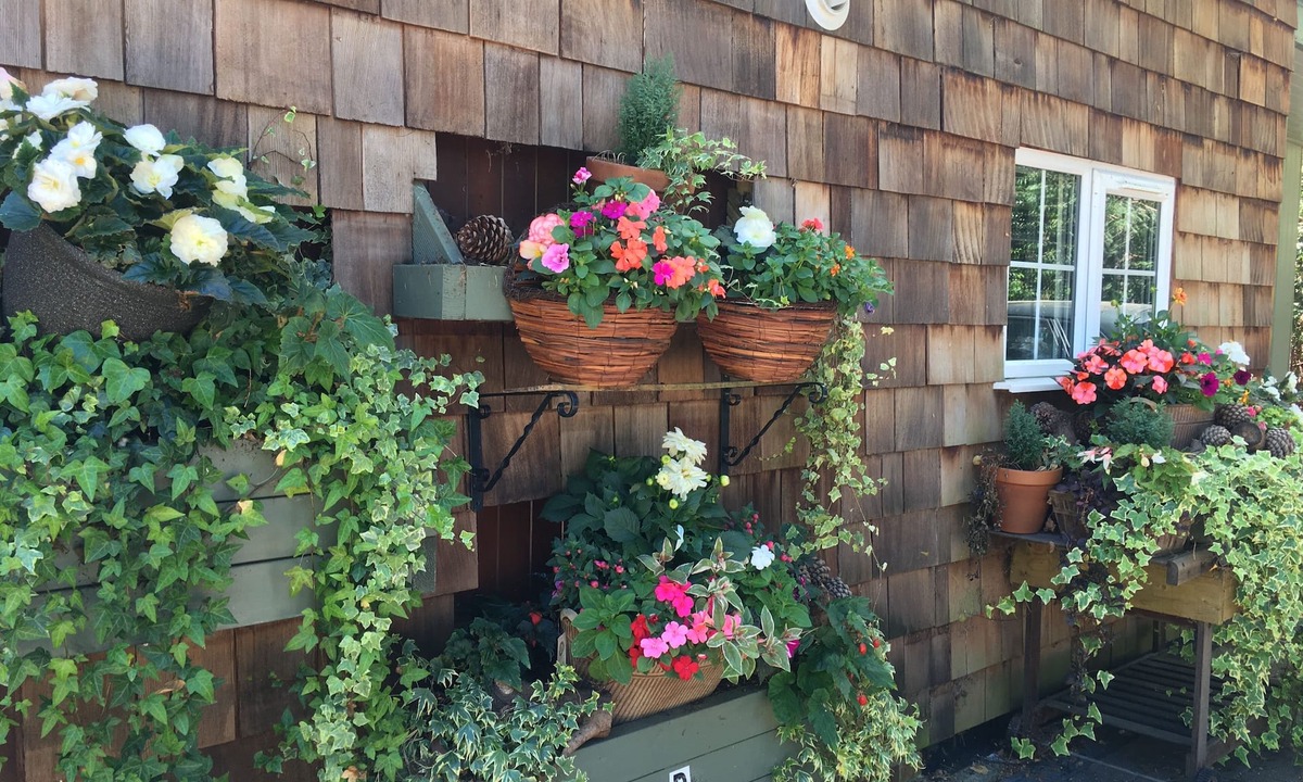 St Leonards Bed & Breakfast | Petherton Cottage Studios