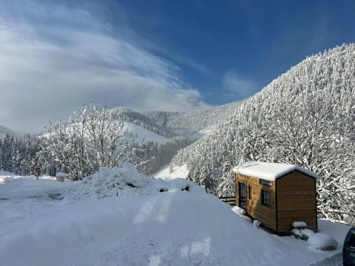 Villard-de-Lans Ski Chalet | Petit chalet Cosy
