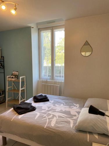 Salies-de-Bearn Apartment | Petit studio avec parking, très bien équipé proche des Thermes et du centre ville Nouvelle literie