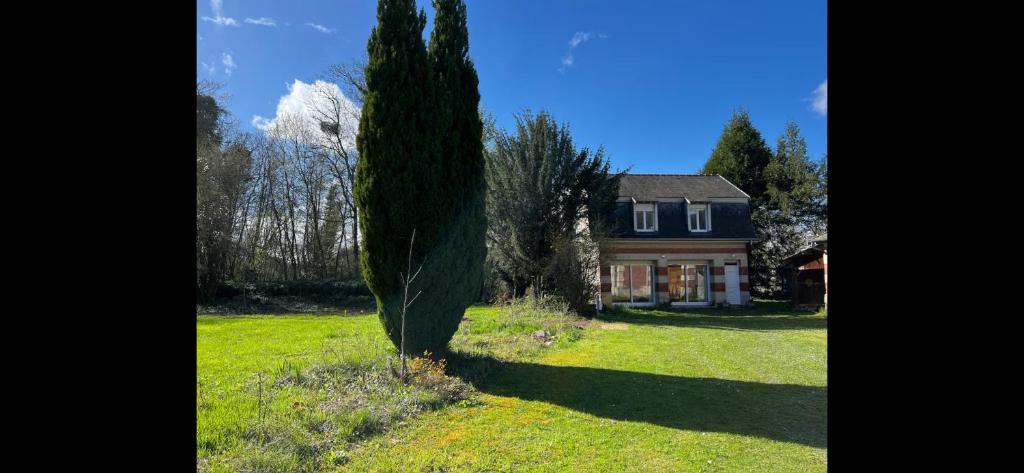 Sillery House | Petite maison à lorée du bois