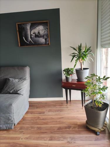 Ecrouves House | Petite maison avec cour privative