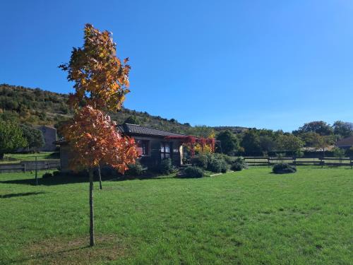 Rogues House | PETITE MAISON EN BOIS