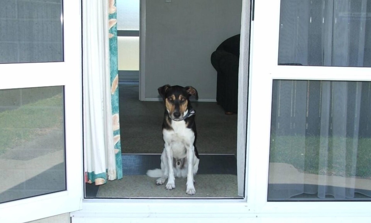 Riversdale Apartment | Pets allowed Beach Villa 2